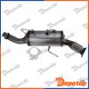 Filtres à Particules Diesel EURO6 pour NISSAN | DPF-PL-013, 8LG366071-381